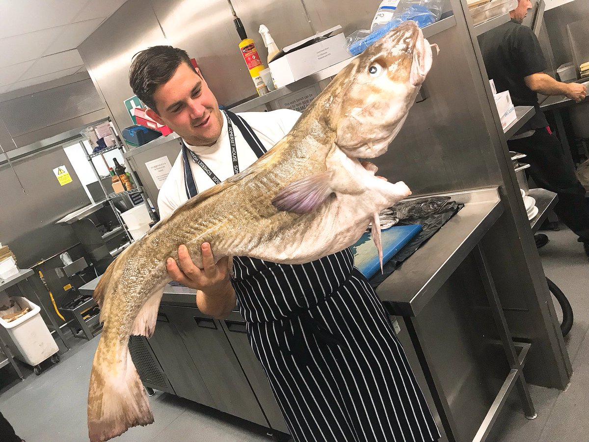bwsomersethouse's tweet photo. Catch of the day (kg12.9)- #cod 🐟
Chef @edward_carroll impressed by this beast 🤩🤩
@chefbrynw 
#bwsomersethouse #brynwilliams #somersethouse #chefs #catchoftheday #foodie #foodphotography #eeeeeats #foodporn #london #eatfamous #yummy #yougottoeatthis #lovetoeat #freshfish #fish https://t.co/GtegkXaRtx