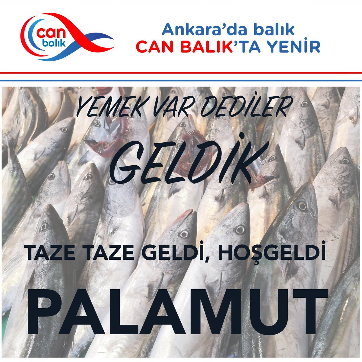 Can Balık tweet media