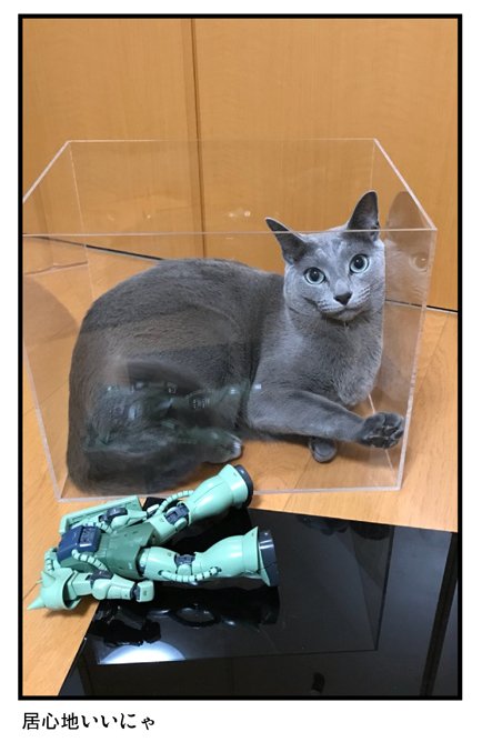 猫とガンプラ⑨ #漫画 #猫とガンプラ https://t.co/yvHZg9GSo9 