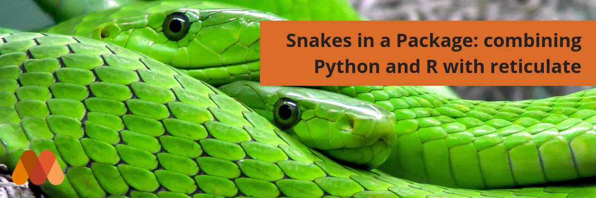 posit_pbc's tweet image. Snakes in a Package: Combining Python and R with Reticulate.
by @tapundemek from @MangoTheCat
"In my opinion, the reticulate package is a ground-breaking development. It allows me to combine the good parts of R with the good parts of Python..."
Read at buff.ly/2NPKh7N