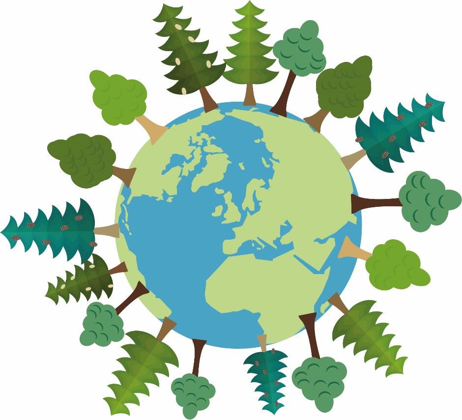 royal_forestry's tweet photo. No time to lose! 13 priority actions for #resilientwoods. We are proud to be part of FCCWG pledged to deliver Action Plan https://t.co/sc7vjxdWI8
#thinkforests #thinkwoods #thinktrees #resilientwoods @CLAtweets @forestsandwood @LockhartGarratt @SylvaFoundation @TheICF https://t.co/i47WnlO2Ov