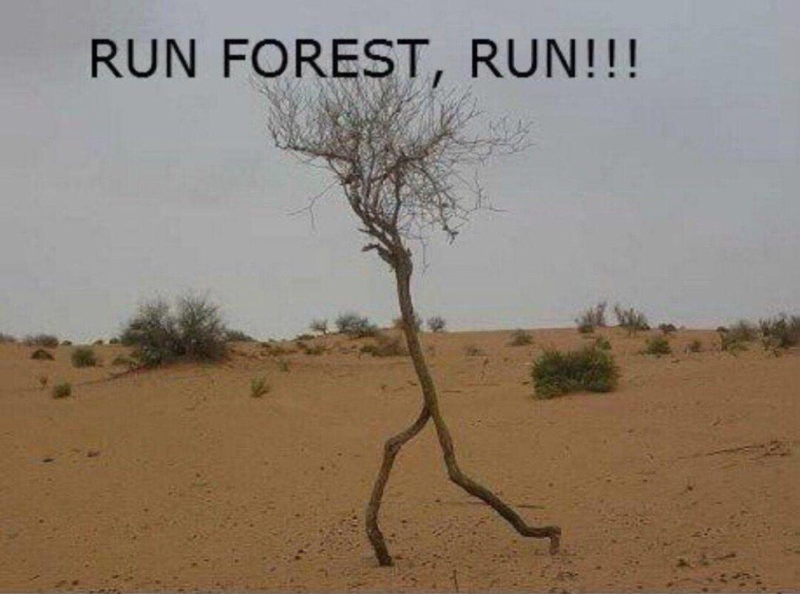ThePunnyWorld's tweet photo. Why am I laughing 😂😂 https://t.co/JuTnJN3jEA