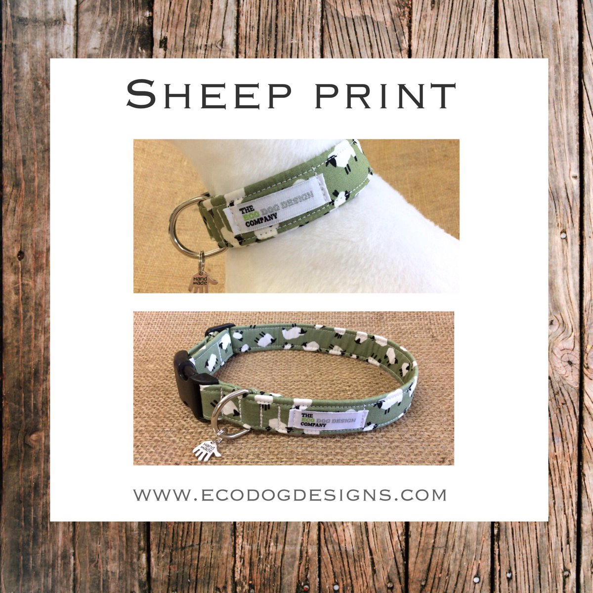 Ecodogdesigns's tweet image. Want to know which are our popular designs?... These Sheep Collars are eye-catching and always attract a lot of attention when we are out at shows. 🐑🐑🐑 #lovesheep #sheepdesign #dogcollars #popularcollars #noveltydogcollars #quirkydesign #eyecatchingdesign #lovedogs #doggy