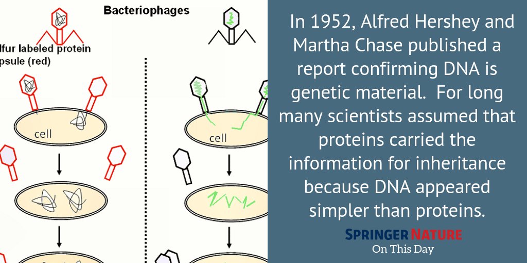 Martha Chase Experiment