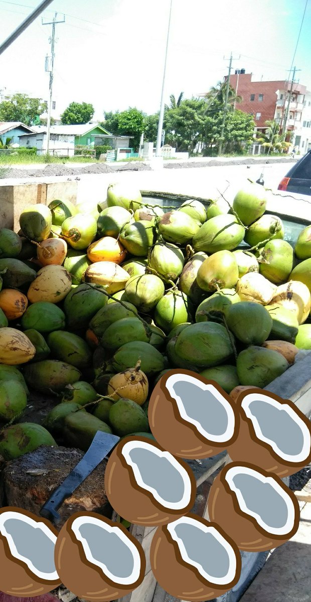 KING WALADING🇧🇿 tweet media