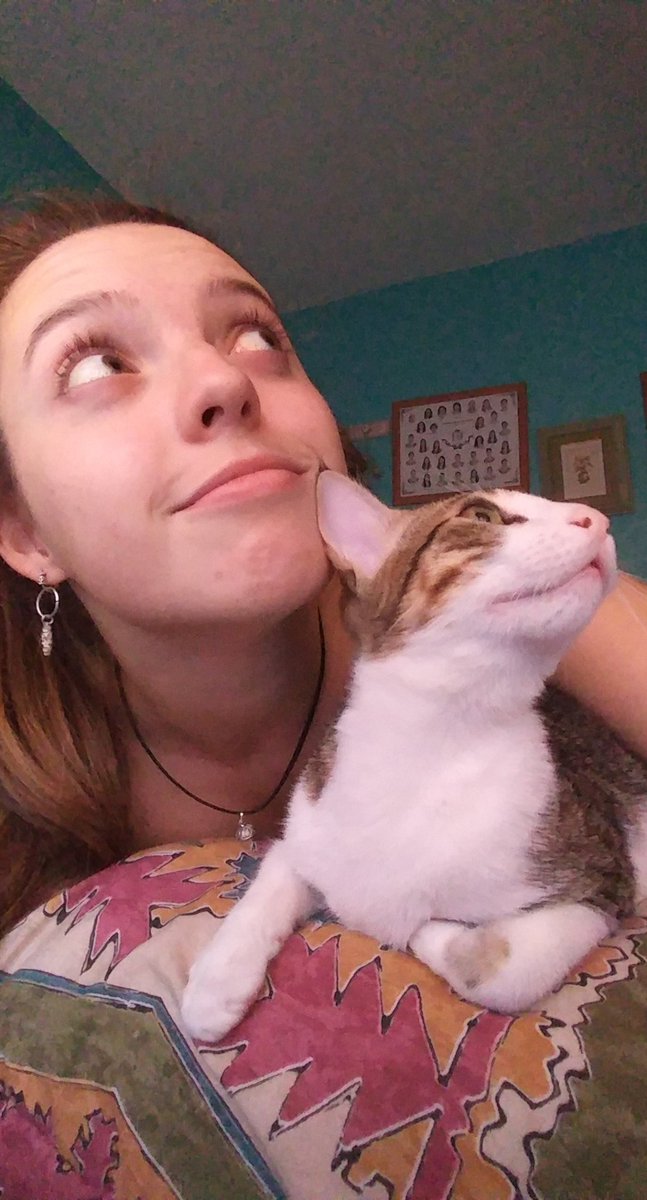 Sandrapm99's tweet photo. Me encanta hacerme fotos imitando lo que hace mi gato: https://t.co/ENRSlGVgda