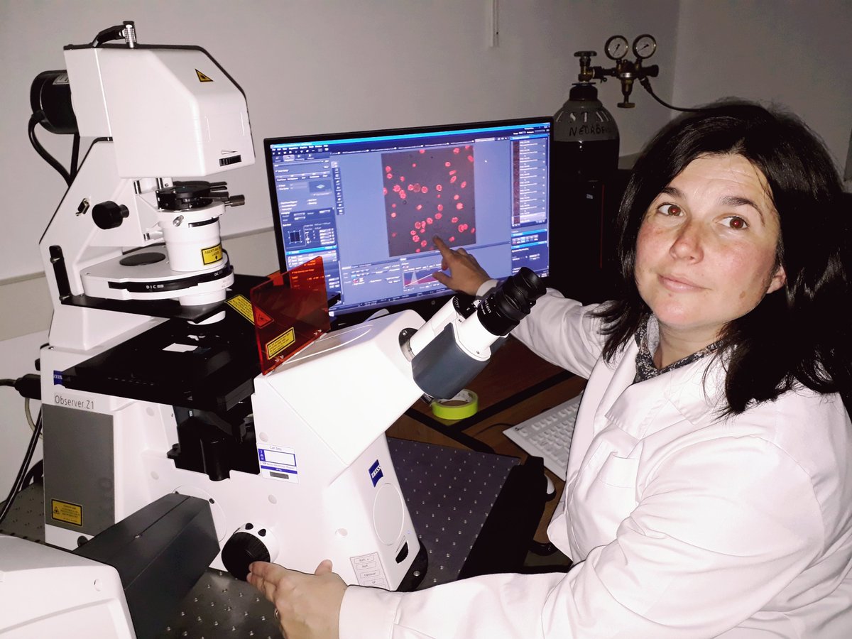 SobreCiencia's tweet photo. ✅Ciclo #FondoVazFerreira - #D2C2🇺🇾
📣Entrevista a la Dra. Lucía Canclini (Genética y Biología Molecular - #IIBCE)
👉🏽¿De qué está hecho el "esqueleto" de las células?
Investigación básica que busca develar una vieja incógnita de la #ciencia
🔗https://t.co/XK9mtvGMNp https://t.co/OqL6pPA7lE