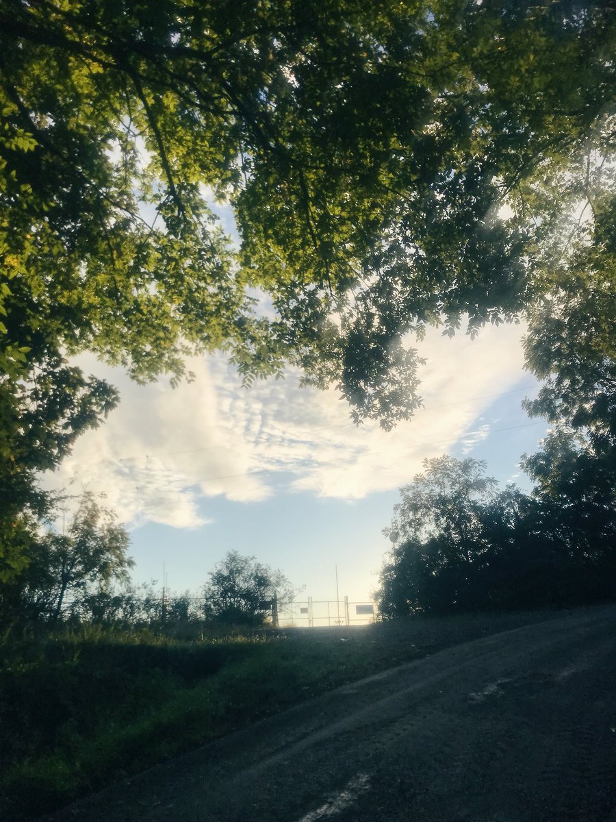 ArtiKen's tweet image. Beautiful morning for a run! #GetOutandRun 🏃🏻‍♂️🏃🏼‍♀️💪🏼