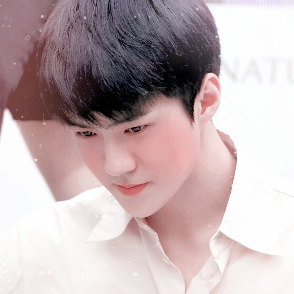 เจ้าดอกช่อเอื้อง🌸 tweet media