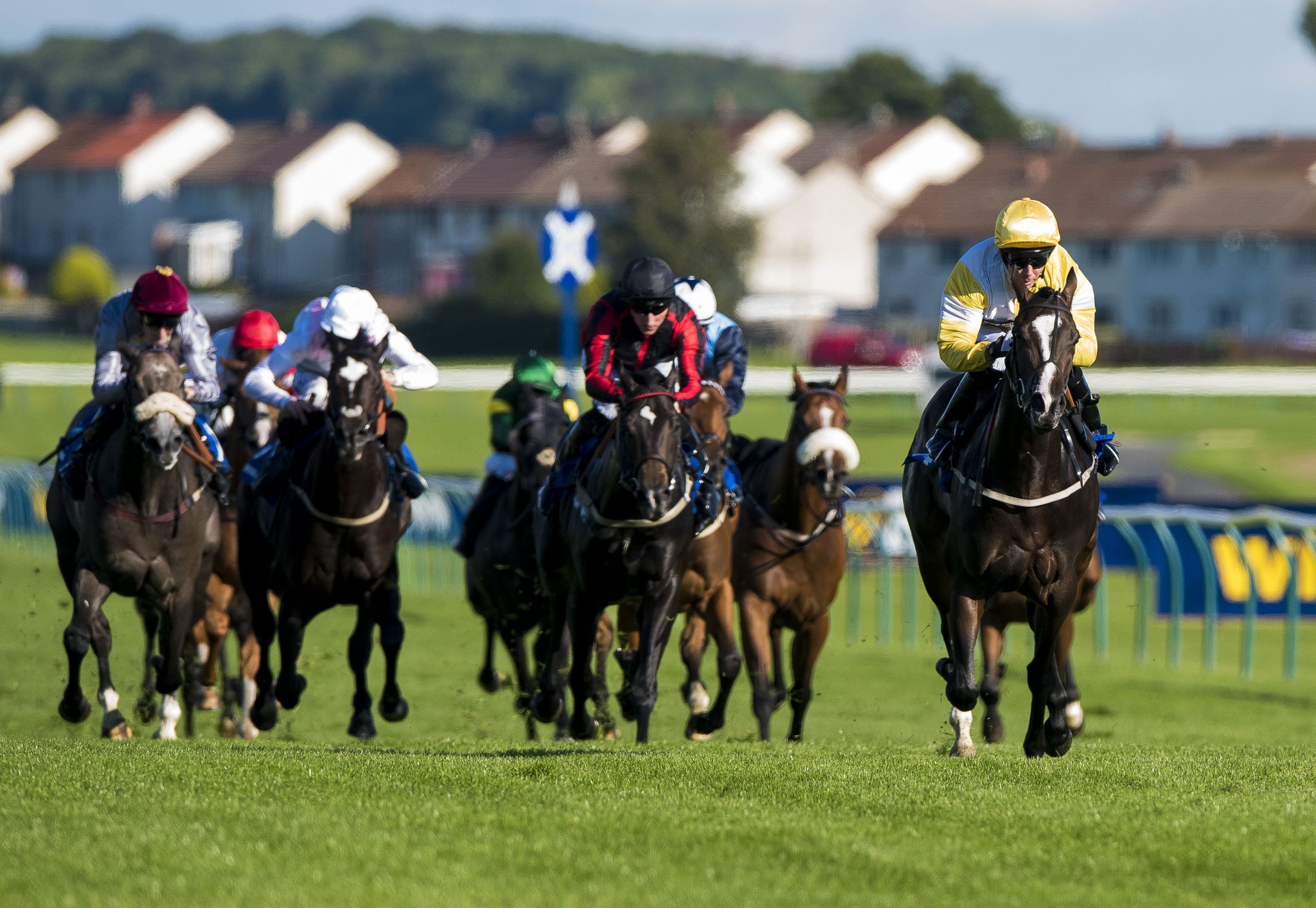 william hill derby betting