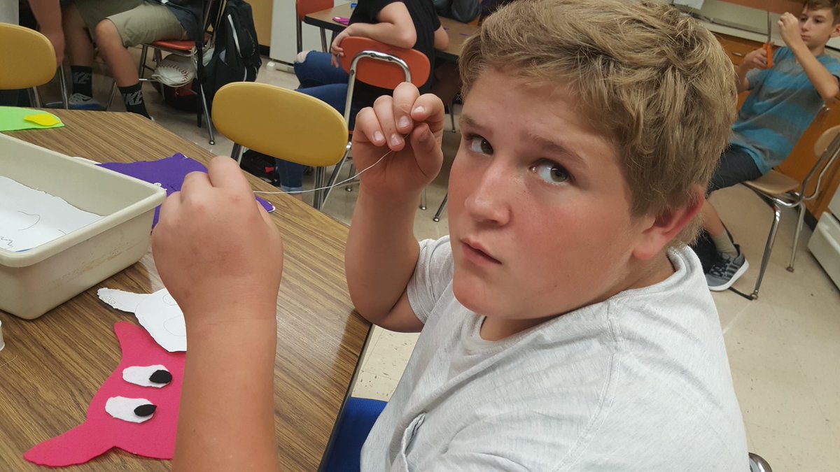 8th grade Sewing projects.