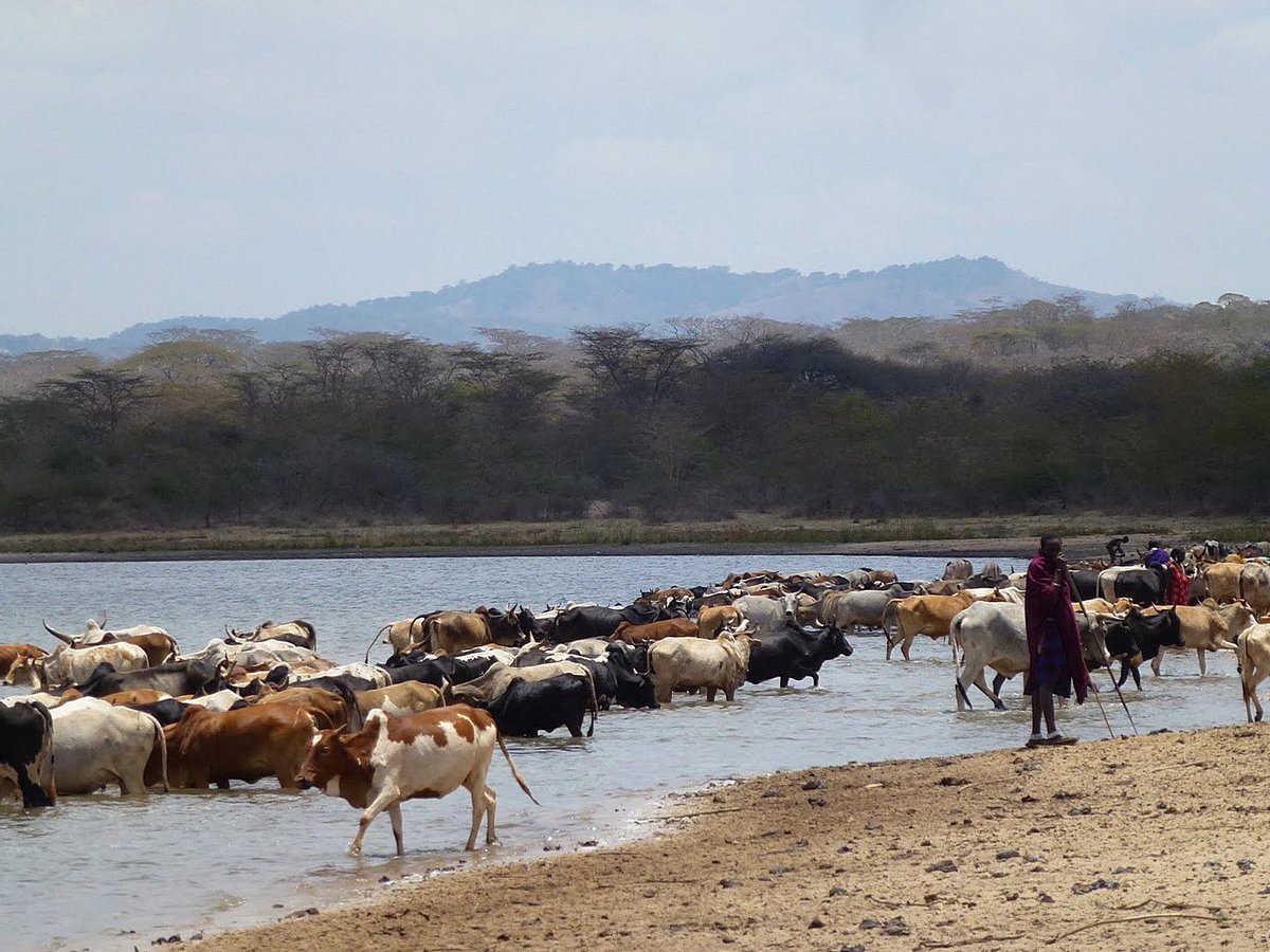 PRISEclimate (@priseclimate) on Twitter photo How can dam funders improve their understanding of #climate risk & how can water & energy policies incorporate climate risk? Read the new .<a href="/MKeulertz/">MAVIS WANCZYK</a> report on #climate risk & multi-purpose dam finance in East Africa - .<a href="/KenyaMarkets/">Kenya Markets Trust</a> - bit.ly/2NVjGX0 How can dam funders improve their understanding of #climate risk & how can water & energy policies incorporate climate risk? Read the new .<a href="/MKeulertz/">MAVIS WANCZYK</a> report on #climate risk & multi-purpose dam finance in East Africa - .<a href="/KenyaMarkets/">Kenya Markets Trust</a> - bit.ly/2NVjGX0