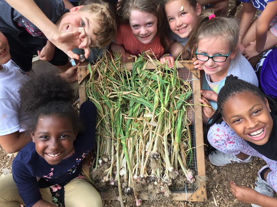 Moss Haven Farm tweet media