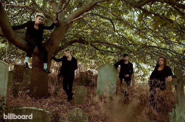 The 1975 tweet media