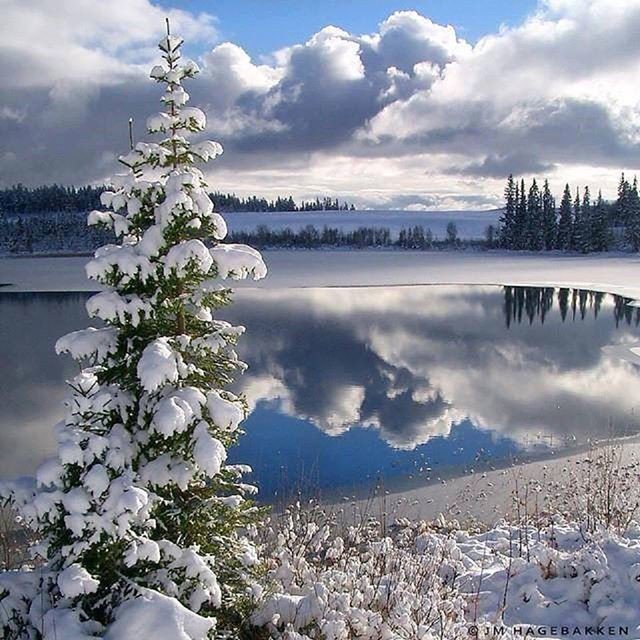 Reposting @egtours:
Take an #egtgolftour  to #norway #norwegianescape #norway🇳🇴 #naturephotography #nature #bucketlist #snow #ski #travel #travelphotography #travelblogger #history #culture #saturday Tyin Lake Valdres, Norway #tyinlake #scandinavian