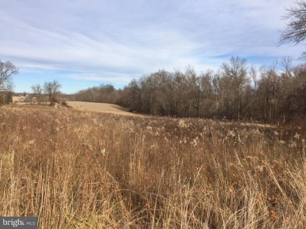 PatPitrone's tweet photo. See a virtual tour of my listing on LOT FRYE ROAD #Upperco #MD  #realestate https://t.co/1iQEtBHeNy https://t.co/qe0txkGK4a