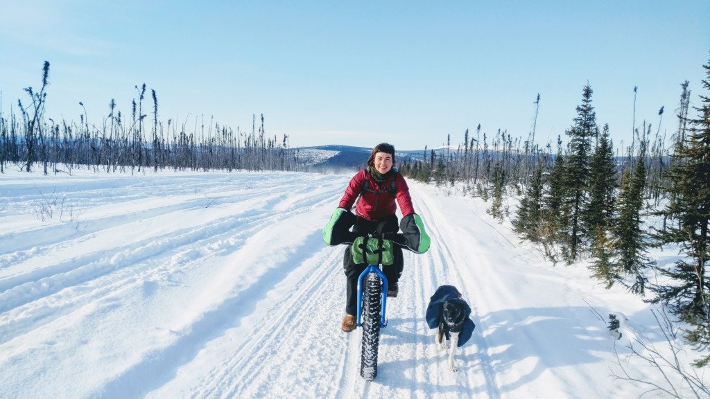 Dynamic telomeres and the aging process nothinginbiology.org/2018/09/20/dyn…