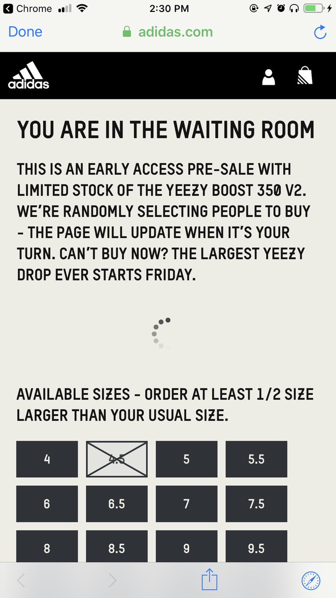 largest yeezy size