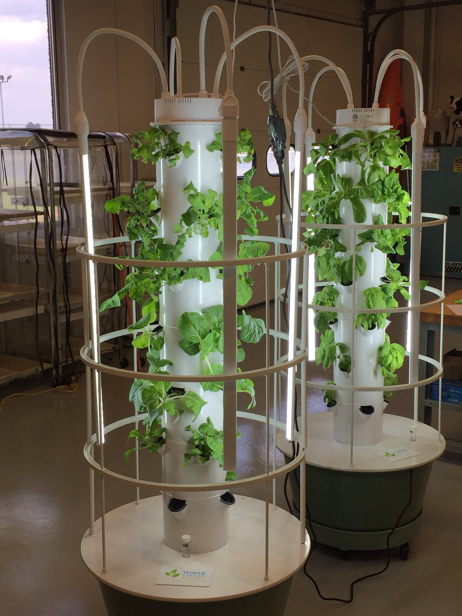 TowerGarden's tweet photo. RT @GreensburgFFA: @GCHSPirates Horticultural Science students test and taste the fruits (and leafy vegetables) of their labor. This is our first harvest from the @TowerGarden. We will be sending more produce to our cafeteria https://t.co/7rGkhapQ2U