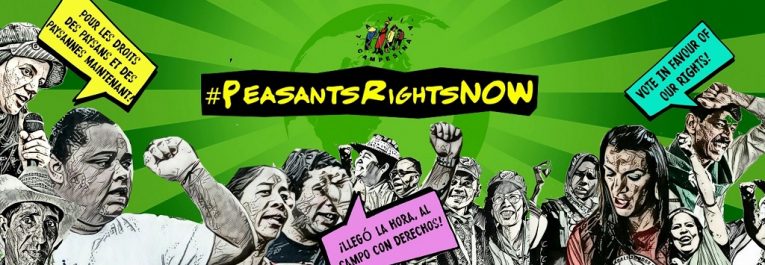 cloccp1's tweet photo. LAS Y LOS CAMPESINOS DEL MUNDO INSTAMOS A LOS ESTADOS A ADOPTAR LA DECLARACIÓN EN DEFENSA DE NUESTROS DERECHOS https://t.co/AjVjyhsW7U https://t.co/EPdAtyleQj