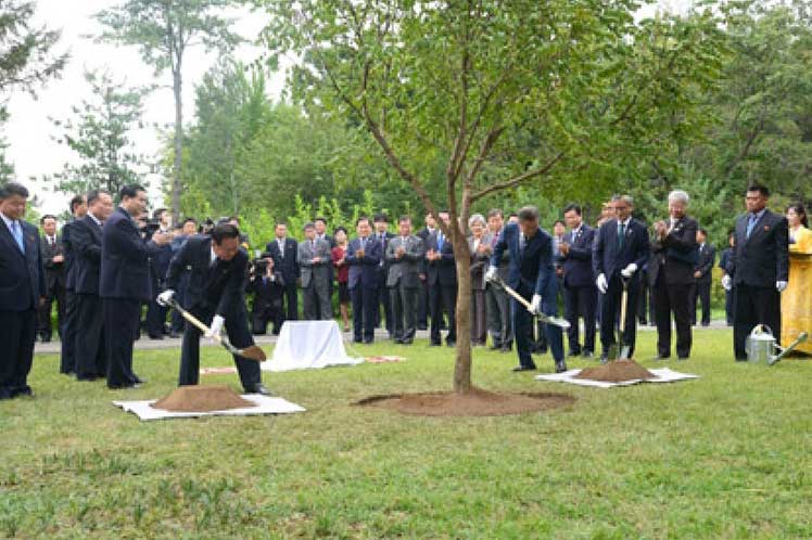 PrensaLatina_cu's tweet photo. #EnFotos || Presidente surcoreano #MoonJaein siembra en #Pyongyang árbol de la reunificación 👉 https://t.co/Egh8jkzTXu
#PyongyangSummit
@EmbEspanaCorea @EmbaMexCor @EmbajadaEcuKOR https://t.co/ohKeNodQl6