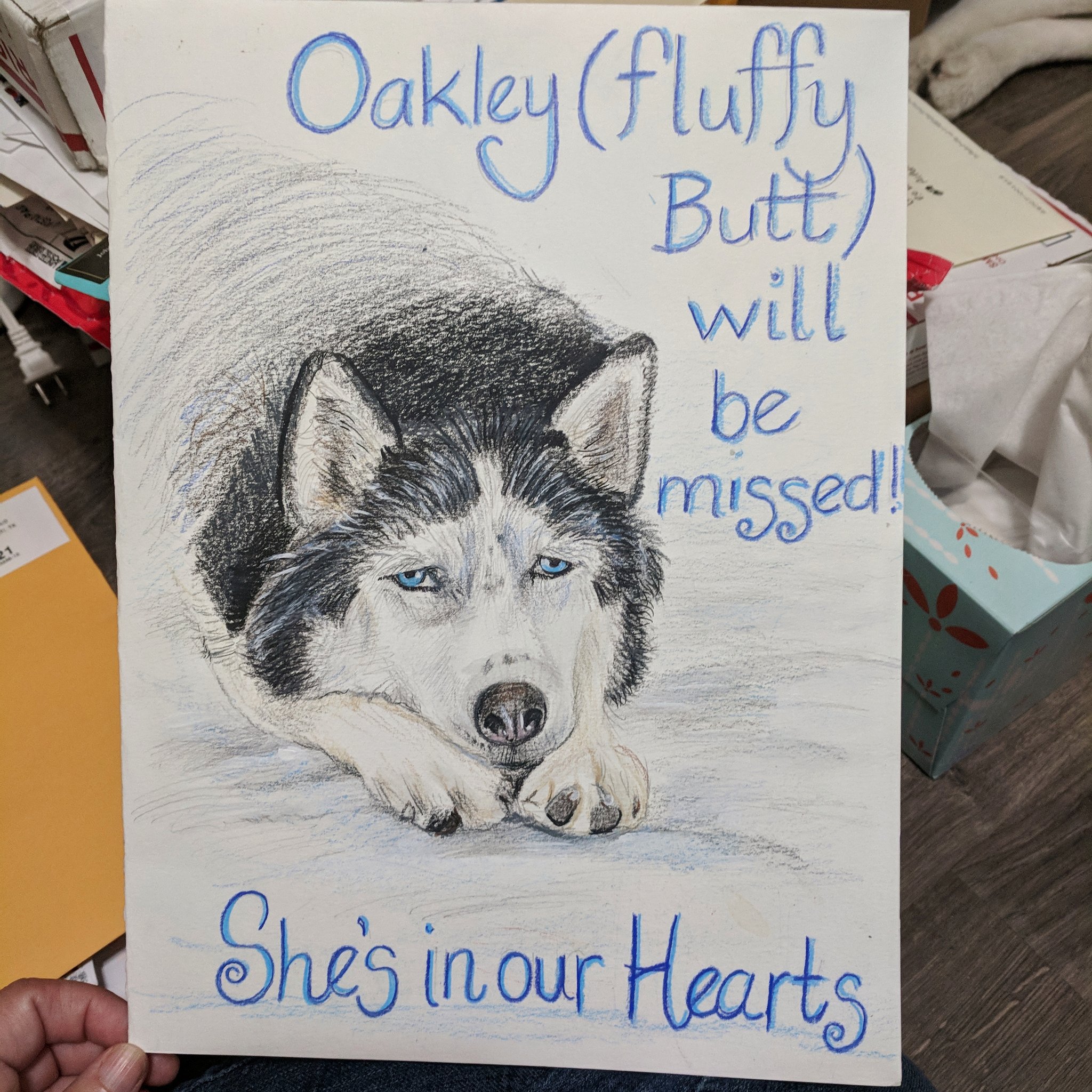 How To Stop Husky From Crying