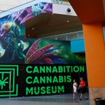 Image for the Tweet beginning: Marijuana Museum opens in Las