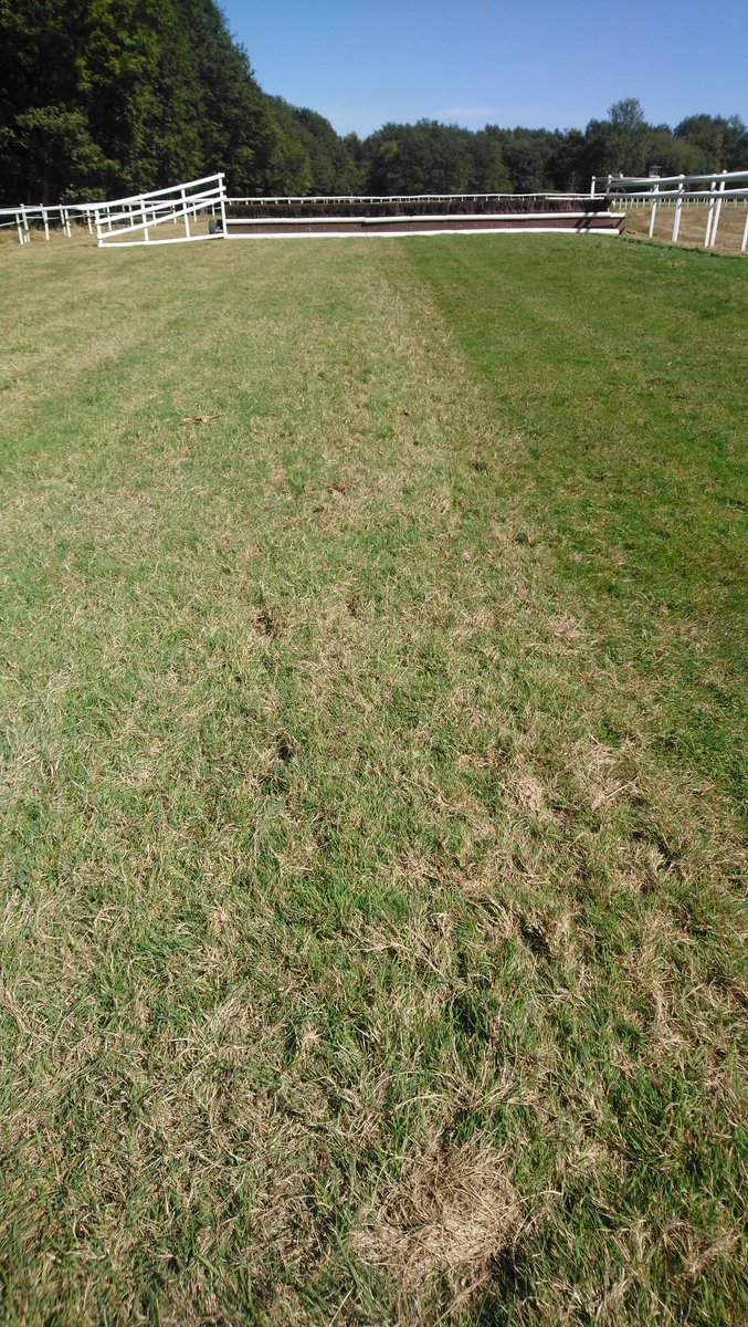 ACouetil's tweet photo. @Ed3613207Druais hippodrome de Cholet le 15 septembre (un terrain à 3.7 !!!) je respecte mes propriétaires et mes chevaux...
Bien à vous Monsieur.. https://t.co/fPWf38DVHx