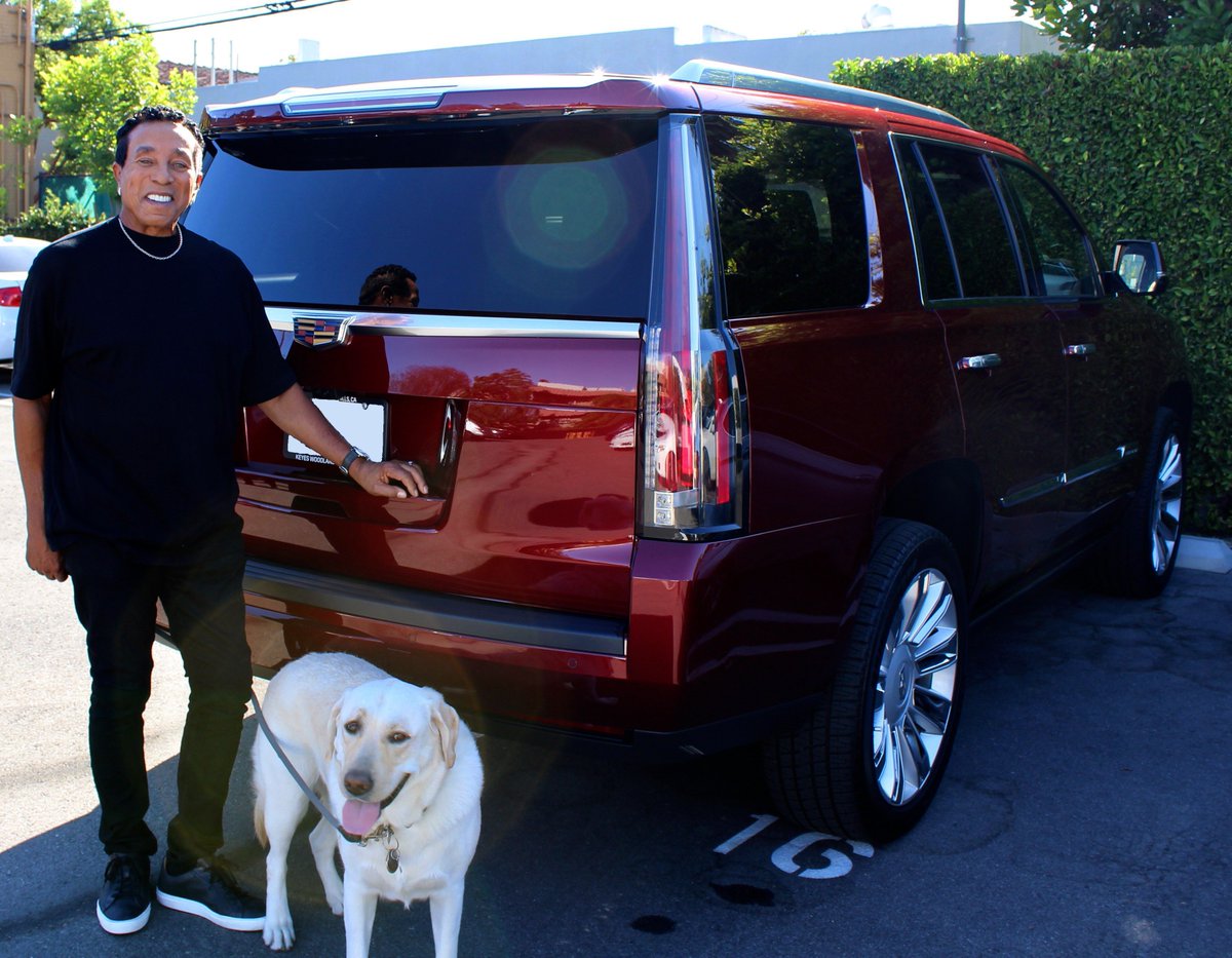 smokeyrobinson's tweet image. Boy do I love it when we're Cruisin' together... 🐶 #NotAThrowback @Cadillac