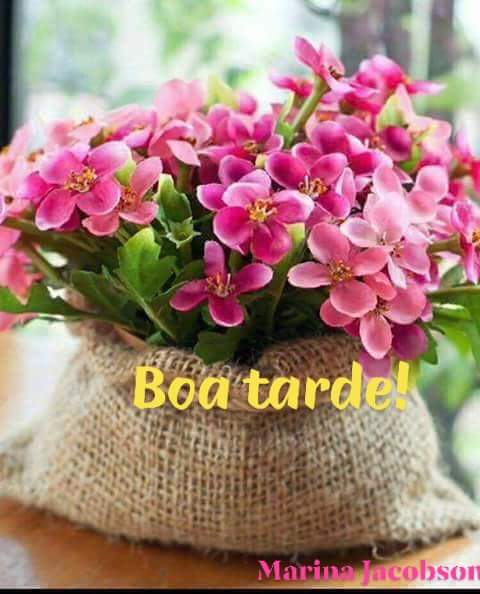 <a href="/DinizzRaquel/">Rachel</a> @edna22n2 <a href="/leocarjr/">Leonel Carvalho Jr.</a> <a href="/enosms/">Enos Mendes</a> <a href="/subeida1/">SubeidaHexa🏆🦊💙</a> <a href="/Verediana0077/">Silvia Regina</a> <a href="/MarryALF/">Marli.</a> <a href="/strelarose/">⭐ Rosemary Coutinho ⭐</a> <a href="/helena_sobotka/">Helena Sobotka - Lena -</a> @joslinda_linda <a href="/faminas_m/">Peteca</a> @Isabellniky <a href="/mantoliva/">Marcos Oliveira 📝 🇧🇷🇵🇹</a> <a href="/angelofugii/">Angelo Fugii</a> <a href="/menasa56/">Mena Sá</a> <a href="/WilliamsJosemir/">tenente josemir</a> @queiroz618 <a href="/anaberssani1/">Anna 🌻❤️‍🔥✨🥊</a> <a href="/SaraRsrs/">🇾🇪 𝙍𝙪𝙞𝙫𝙖 𝙋𝙖𝙣𝙙𝙖 🐼💗#MFSDV♈ ♏</a> <a href="/DeFaukatrua/">Edu live</a> @Selakantus