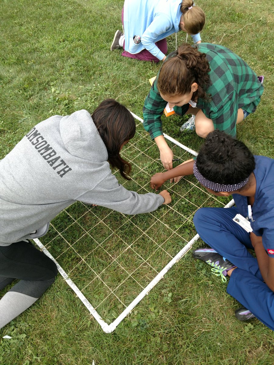 jshfoster22's tweet photo. #ibbio 12s using quadrats they built to see a correlation between grass coverage and soil moisture (using a @vernier probes) along a transect. @Eastridge_EICSD #FosterIB https://t.co/oFbr8CcftA