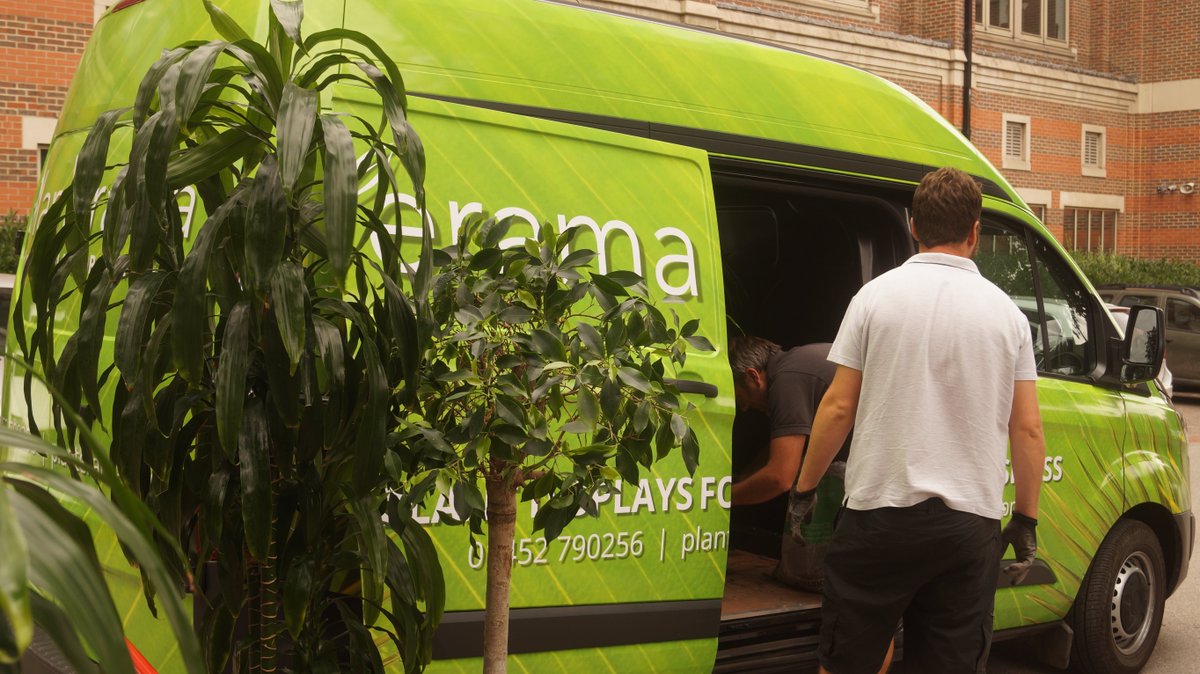 Planterama Design tweet media