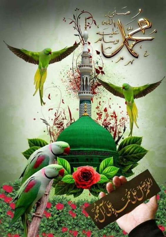 صلوا على المختار ما نجم بدا  
واستنشقوا الازهار والريحانا

 ان الصلاة على الحبيب محمد 
تروي الفؤاد وتذهب الاحزانا

اللهم صل على محمد واله وسلم تسليماً كثيراً  ..