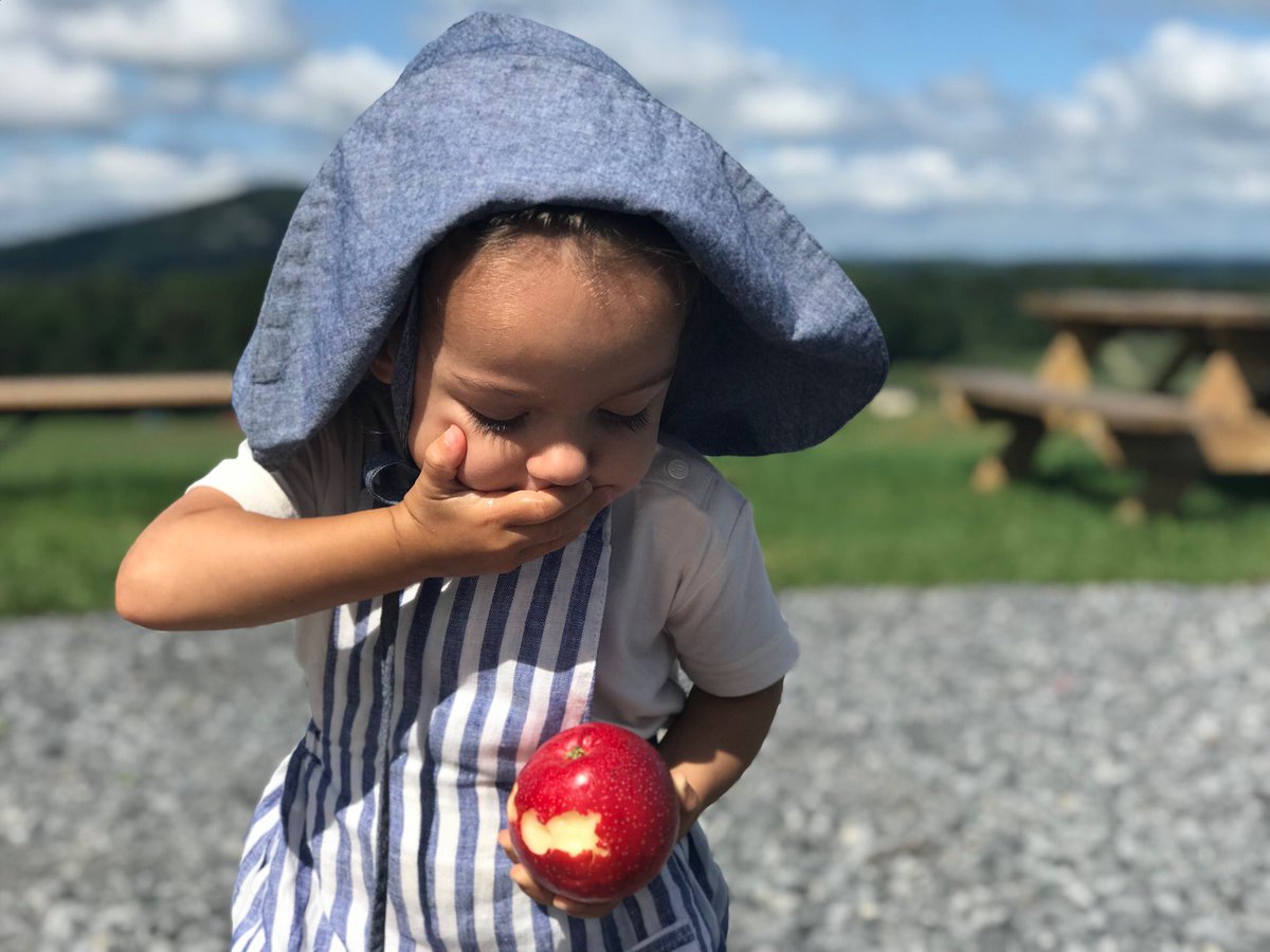 SteinerSchoolNY's tweet photo. Thank you #steinerparents for sharing your #applepicking memories! #steinercommunity #steinerparentcouncil #wewalkinbeauty #engagedcommunity #applepickingtime #upstatenewyork #fishkillfarms https://t.co/PJdqrJLvnF