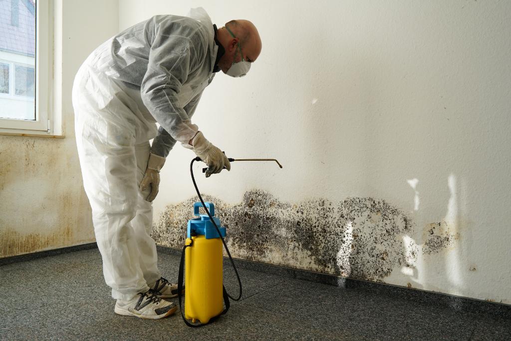 HHSGov's tweet image. After flooding from #Florence, mold may be growing in your home, and may be a health risk for your family. This guide can help you quickly and safely clean up: bit.ly/2NnCgYd