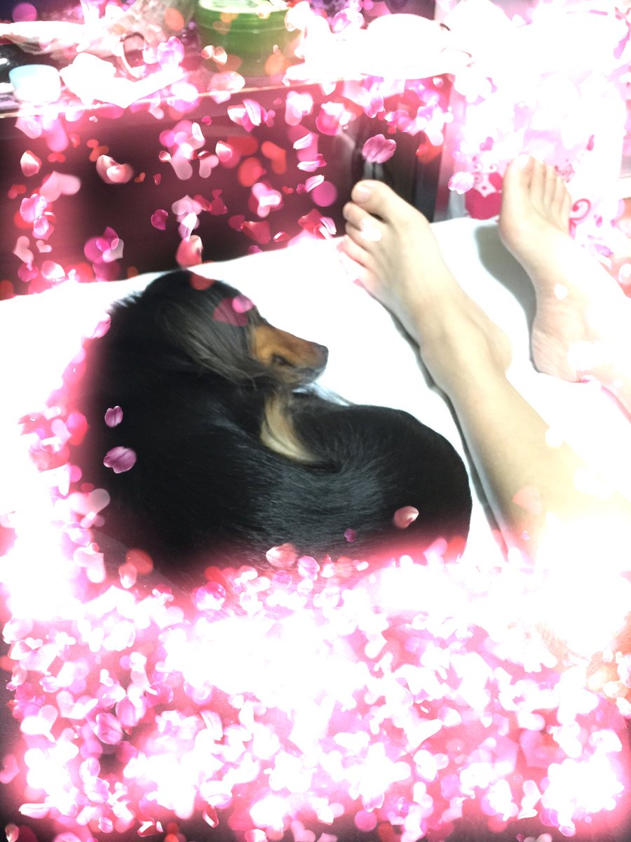 97094 tweet picture