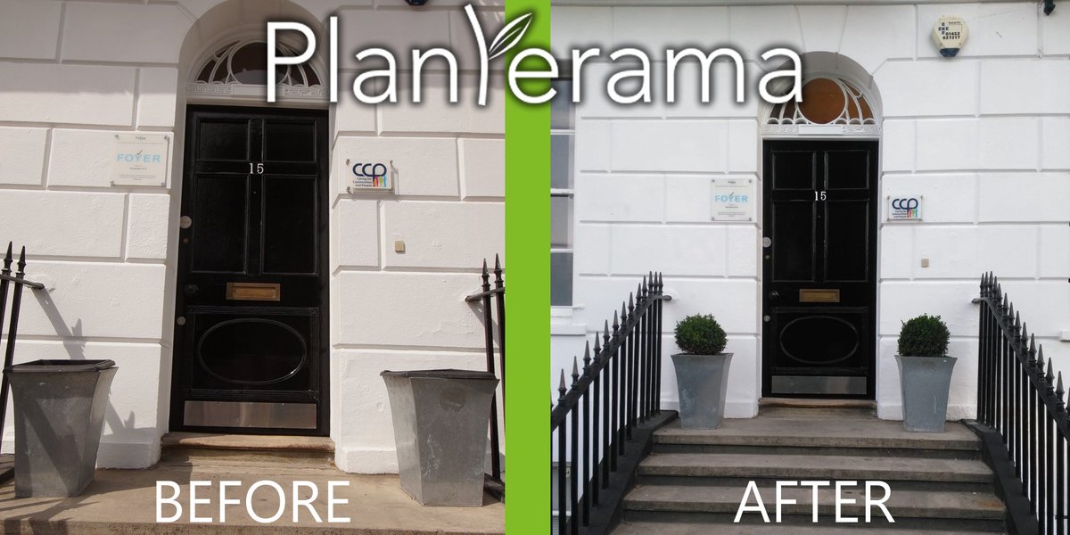 Planterama Design tweet media