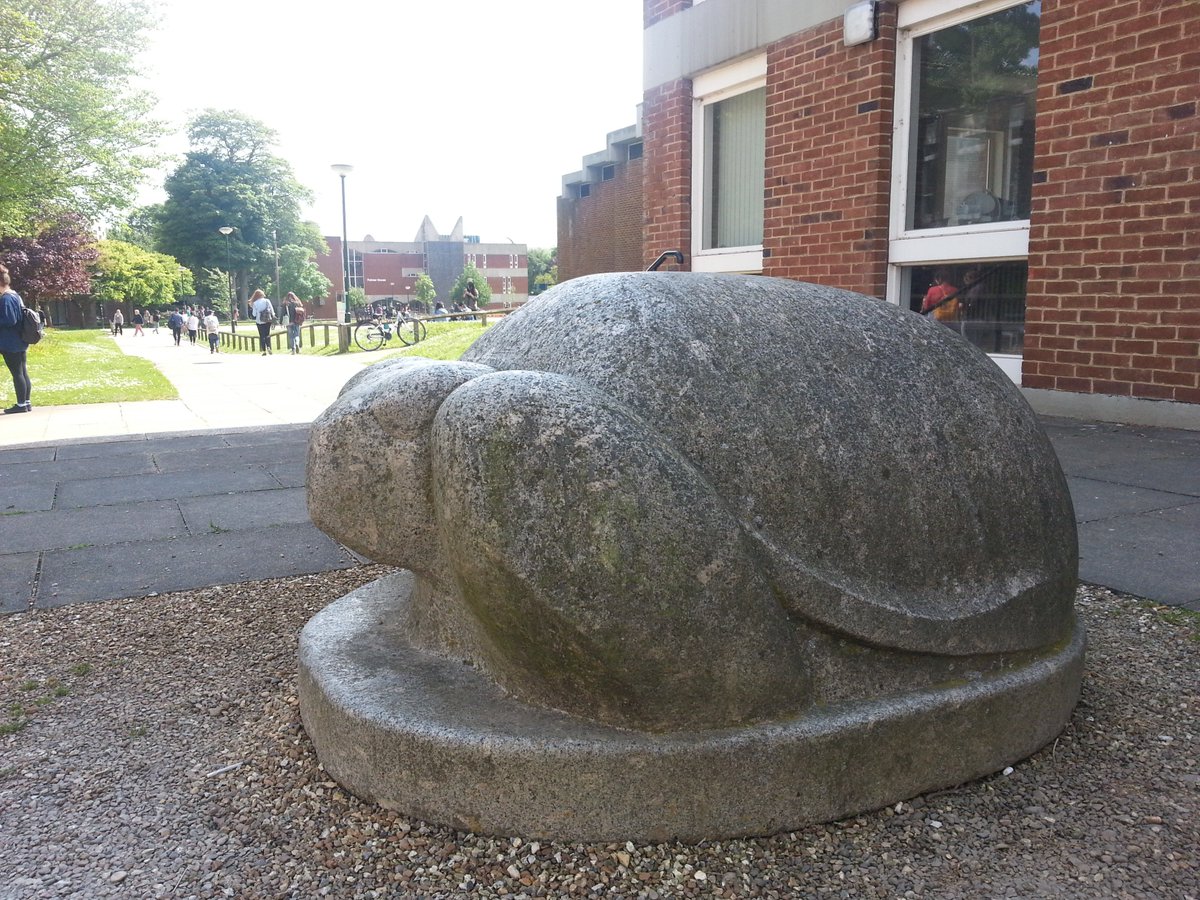 SussexSpeccoll's tweet photo. These wonderful sculptures by John Skeaping know who's side they're on in the #GBBO #TeamKimJoy @kimjoyskitchen They usually hang out by the pond at @unisussex but since visiting PF 94871 in the @sussexlibrary they're up for a little space travel. #spaceturtles https://t.co/oKLpeurH8E