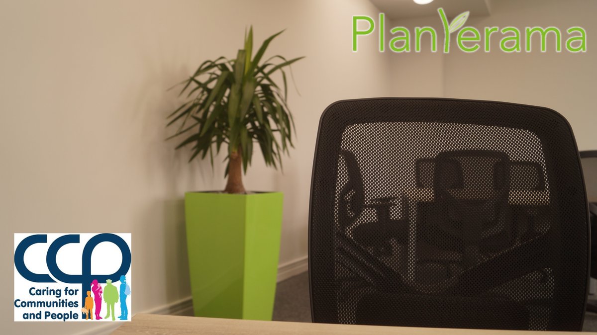 Planterama Design tweet media