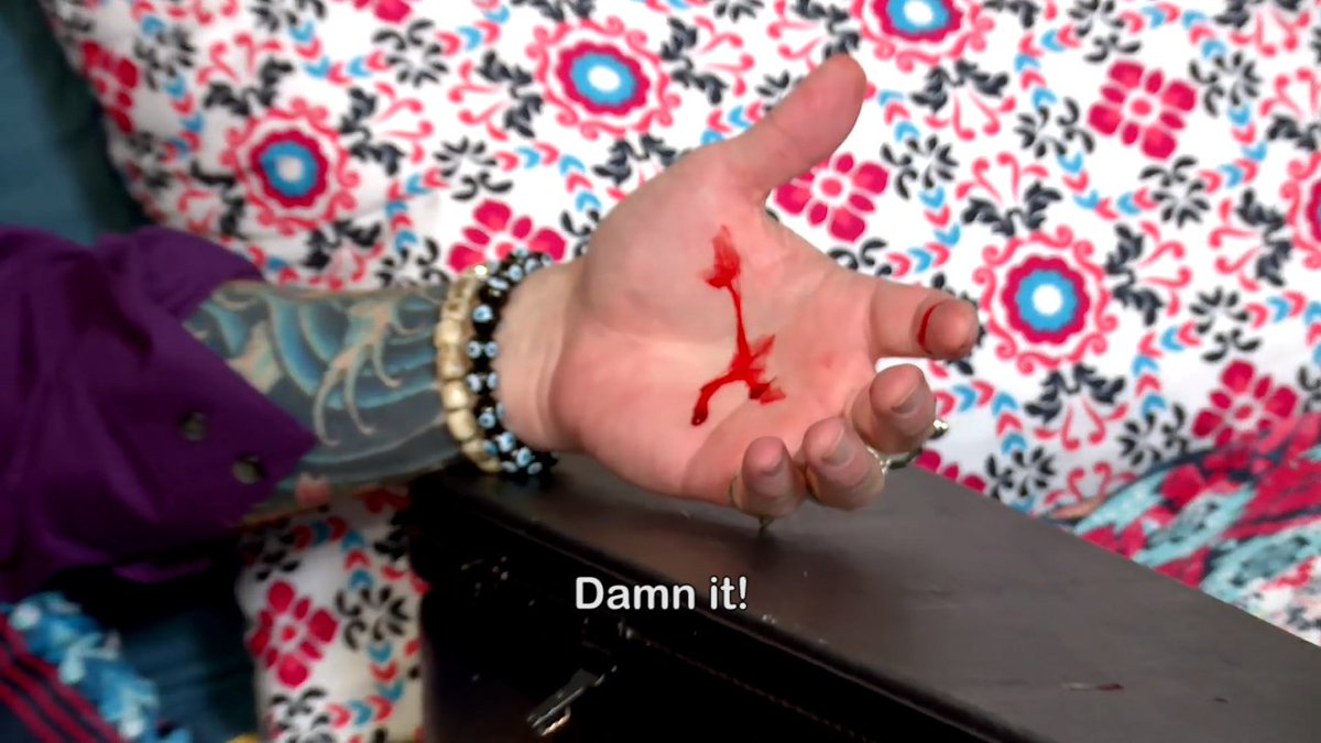 JacksonGalaxy's tweet photo. Don't try this one at home, folks! New episodes of #mycatfromhell Saturday @ 8 PM! https://t.co/mK3mE1JUAW