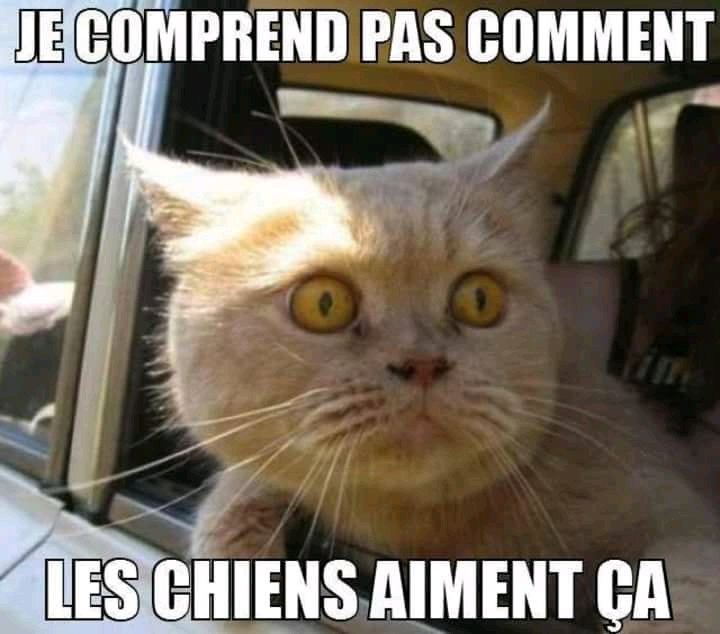Смешные дни. Смешные мемы про таксистов. Вы куда меня везете. Такси прикол. Мемы про такси.