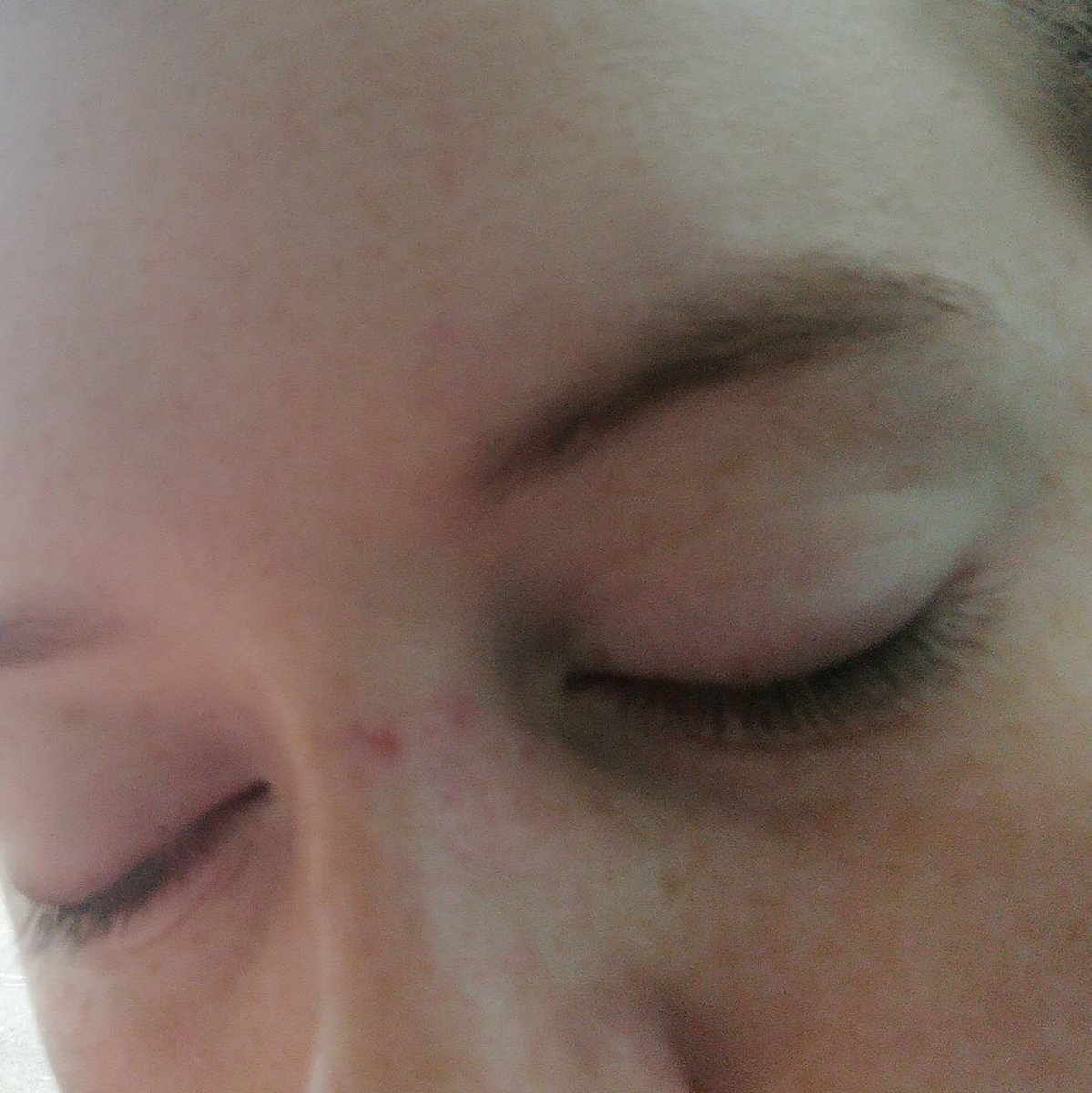 miaaucottdaviss's tweet photo. @yorkieee__ @Lavinia_Lindsey YOU DIDNT HIT ME?? THEY HAVE IT ON CCTV https://t.co/v71YFJ2RK7
