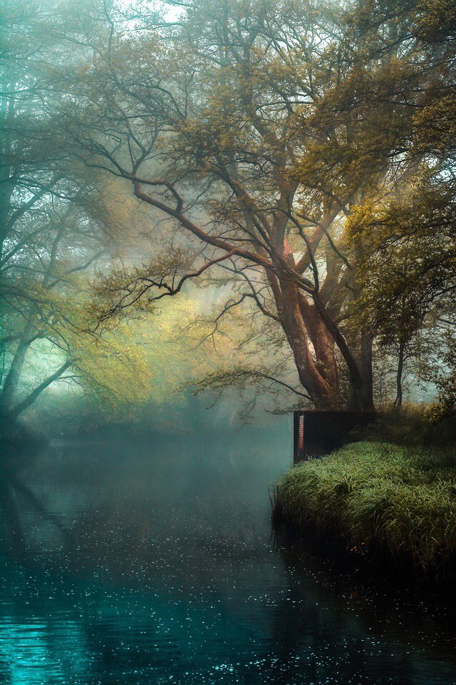 PicPublic (@picpublic) on Twitter photo 