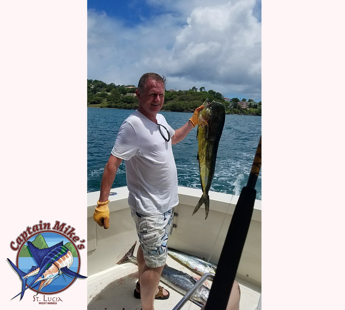 Here at Captain Mikes everyone's a winner.
#CaptainMikes #Fishing #Fishinglife #Whalewatching #Dolphinwatching #AtSea #Happylife