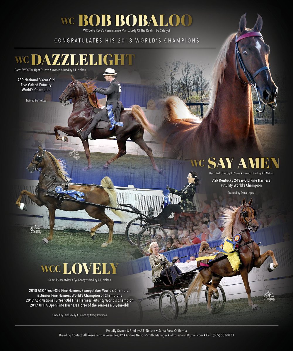 National Horseman Wc Say Amen Dena Tanner Lopez Wc Dazzlelight Tre Lee And Wc Bob Bobaloo S World S Champions Nationalhorseman Worldschampionship Louisville Denatannerlopez Trelee Allrosesfarm Doubledranchllc