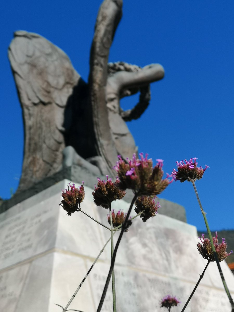 Se3pro's tweet photo. Les élèves de 3ème Pro du lycée Ambroise Croizat ont besoin de vous pour que vous preniez les monuments aux morts de vos villes et villages et les partagiez avec le #sesouvenirencore nous espérons ainsi raviver la commémoration à l'occasion du centenaire. Partagez ! https://t.co/hqWqNATIm1