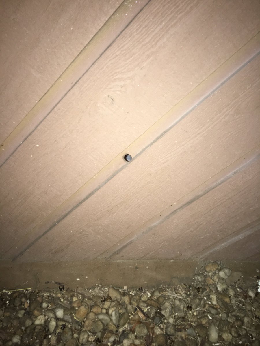 Look at what kind of damage a quarter size hole can cause.  Wet air was coming through the wall and wetting the vinyl wallpaper coated drywall.  The wallpaper trapped the moisture and #Mold grew.  #Remediation