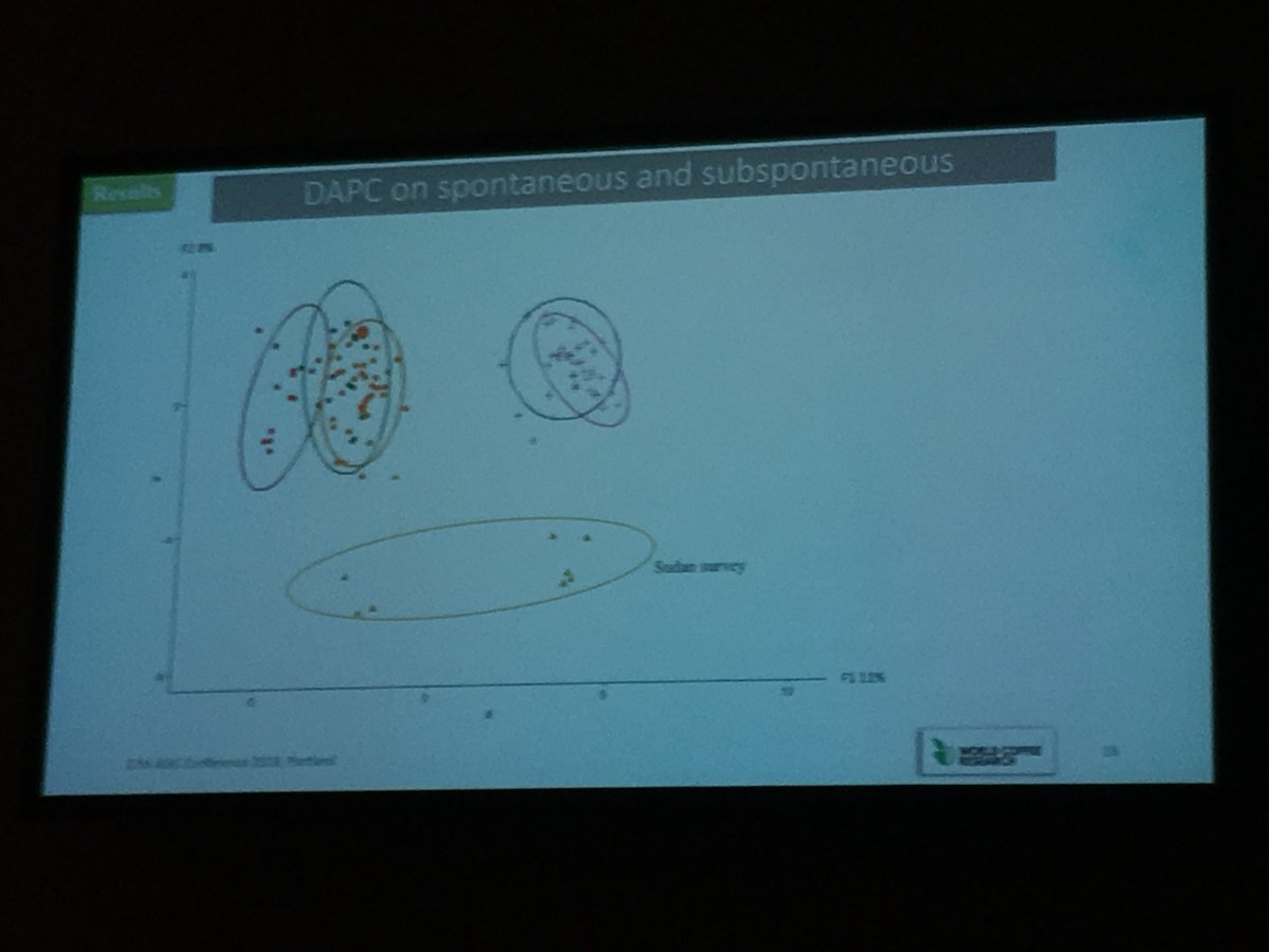 KrishnanSarada's tweet image. @SolenePruvot @WCoffeeResearch presenting her findings on the genetic diversity study of various arabica groups. The South Sudanese accessions present a unique genetic group. #ASICPortland