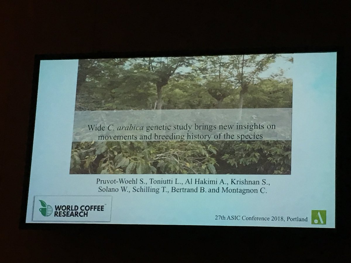 KrishnanSarada's tweet image. @SolenePruvot @WCoffeeResearch presenting her findings on the genetic diversity study of various arabica groups. The South Sudanese accessions present a unique genetic group. #ASICPortland
