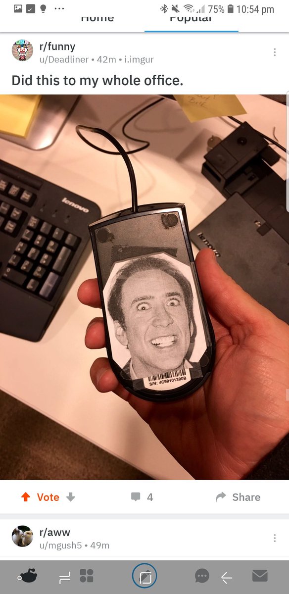 Porksa's tweet image. Aparrently laughter helps to release melatonin. So #reddit gave me this. This dude...what a legend. #nicolascage #insomniasolutions